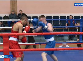 Бокс_Кубок командующего Воздушно-десантными войсками