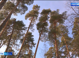 Пожароопасный сезон