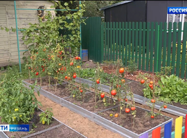 Дачный сезон завершается