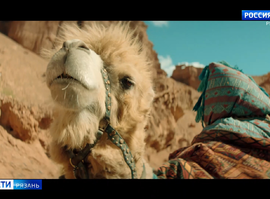 Верблюд из рязанского зооуголка стал героем кинофильма "Финист. Первый богатырь"