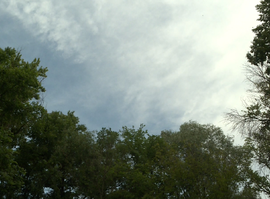 Жара, гроза и пожары: неделя испытаний для региона