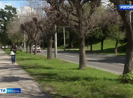 Улица Есенина