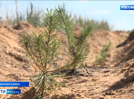 Сохраним лес