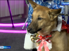 Хвостатый Новый год