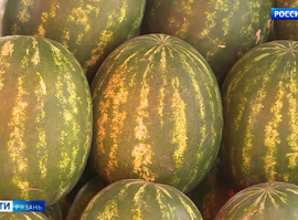 Актуальная тема - Арбузы