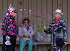 В Рязанской области аномальное нашествие мошек и комаров