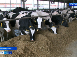 Животноводство