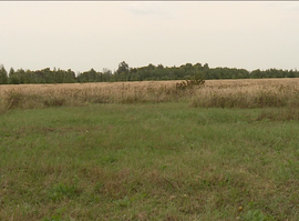 Актуальная тема - Россельхознадзор