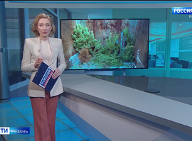 Эфир от 14.01.2025 (09:30)