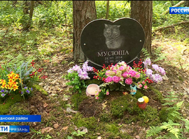 Как правильно захоронить питомца