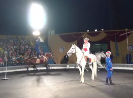 Актуальная тема - Легенда отечественного цирка Юрий Мерденов отмечает юбилей