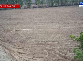 Актуальная тема - Посадка картофеля