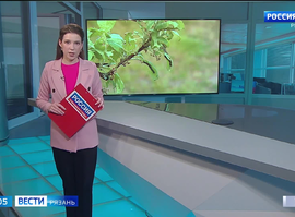 Эфир от 13.05.2024 (09:00)