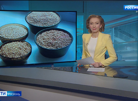 Эфир от 22.04.2026 (11:30)