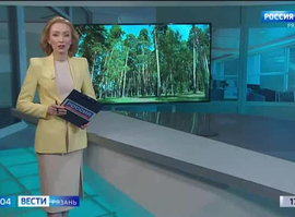 В Солотче планируют строить глемпинг