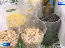 Подкормка птиц