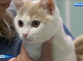 Регистрация животных