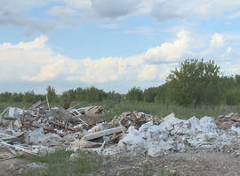 Свалка_Дядково