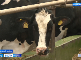 Обязательная маркировка животных