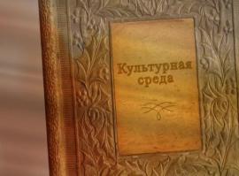 Культурная среда 05