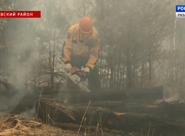 Актуальная тема - Горельники