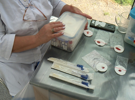 В Рязанском доме белого аиста орнитологи берут анализ крови у птенцов