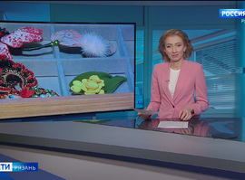 Эфир от 24.04.2026 (11:30)