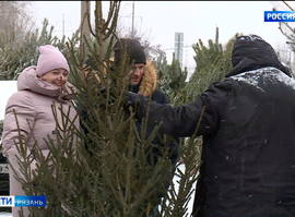 Ёлочные базары