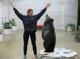 Актуальная тема - Цирк