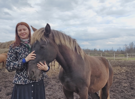 Иппобелитация