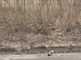 В Рязани под растаявшим снегом оказались горы мусора