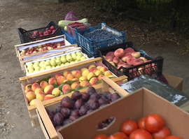 Улицы Рязани превращаются в супермаркеты без касс и санитарных книжек