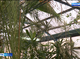 РГУ_оранжерея