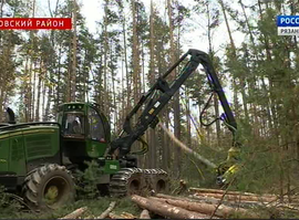 Актуальная тема - Лесозаготовки под жёстким контролем