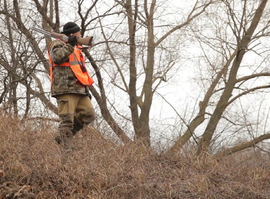 Актуальная тема - Новые правила для охотников